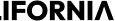 67750a5f07f51a6e6aa74d43_client-11.svg fill